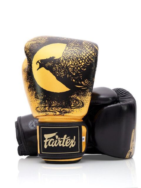 Gants FAIRTEX - HARMONY SIX